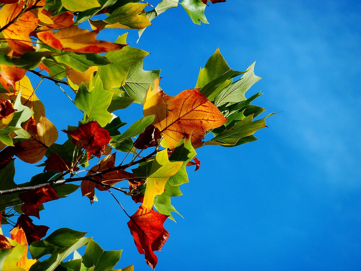 Inicio del otoño