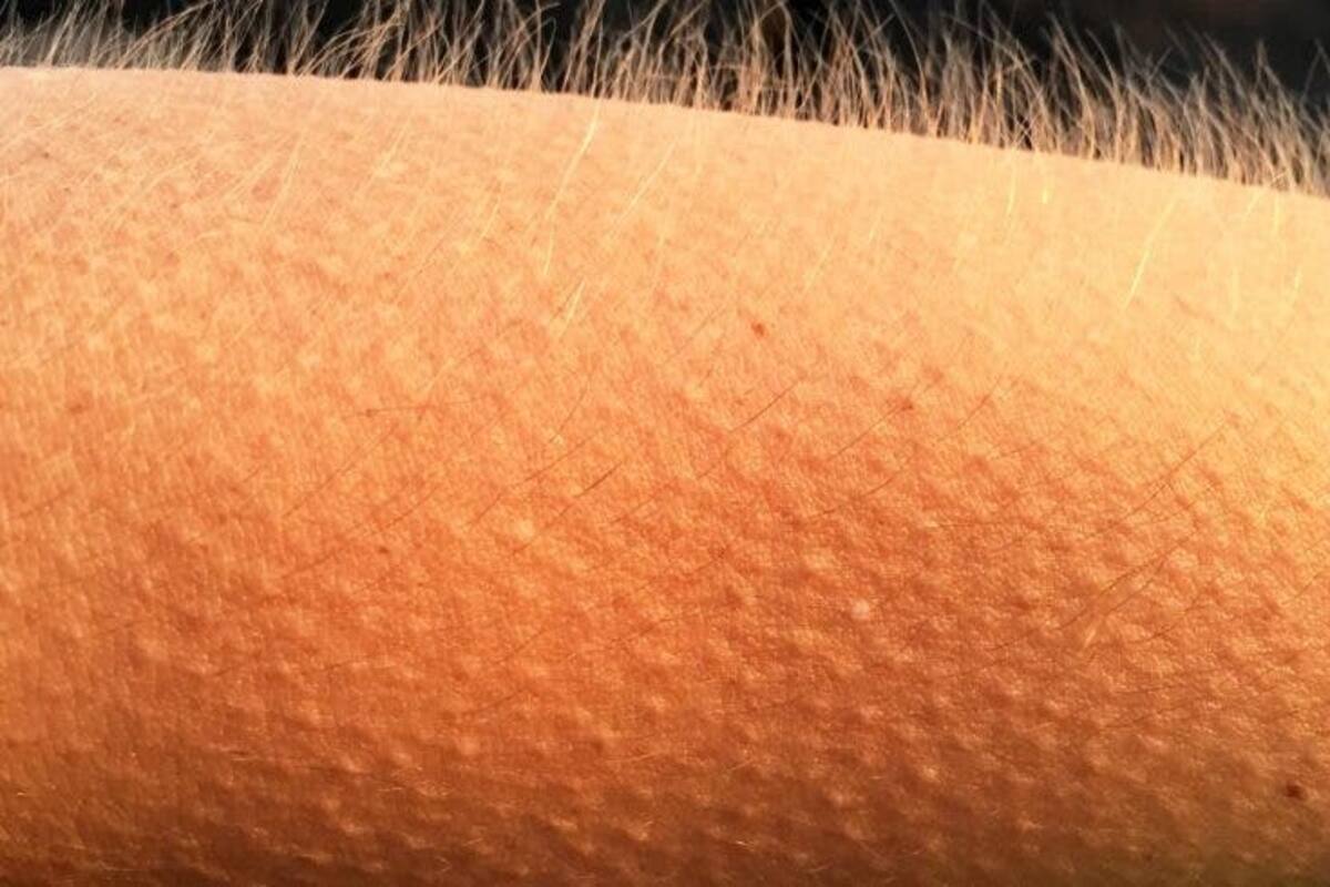 ¿Por qué hay algunas canciones que te ponen los ‘pelos de punta’?