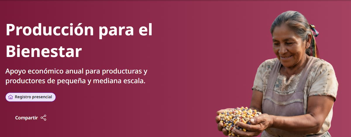 El pago anual ya comenzó y contempla montos de 7 mil 300 a 24 mil pesos; conoce quiénes pueden recibirlo, cómo se calcula y dónde consultar si ya fue depositado. Foto: Captura de pantalla