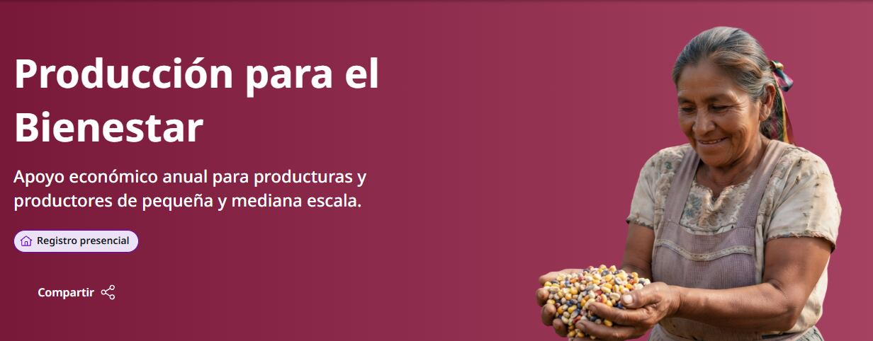 El pago anual ya comenzó y contempla montos de 7 mil 300 a 24 mil pesos; conoce quiénes pueden recibirlo, cómo se calcula y dónde consultar si ya fue depositado. Foto: Captura de pantalla