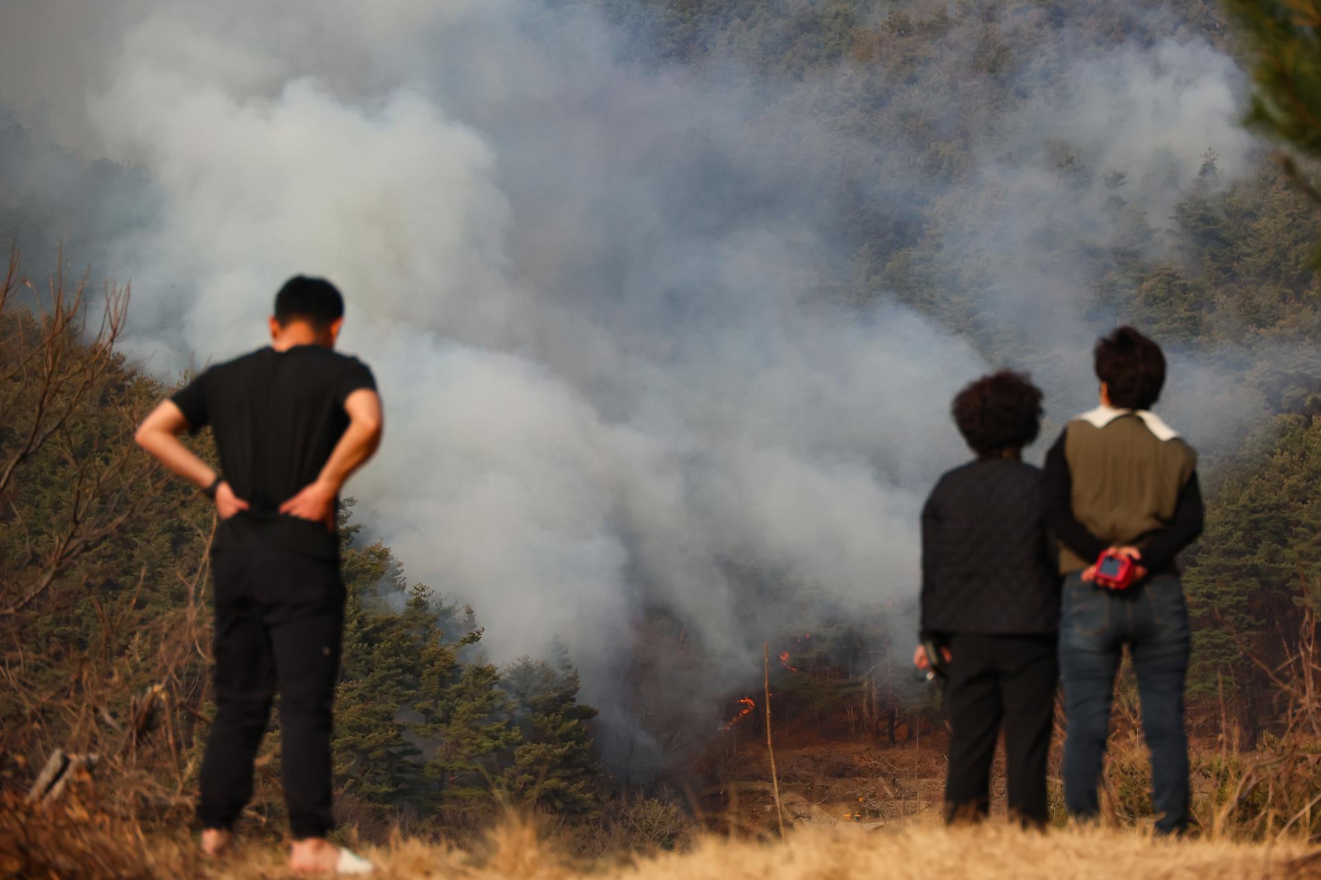 Corea del Sur declara “estado de catástrofe nacional” ante incendios  forestales que han obligado a miles a evacuar en el sureste del país |  Noticias de México | El Imparcial