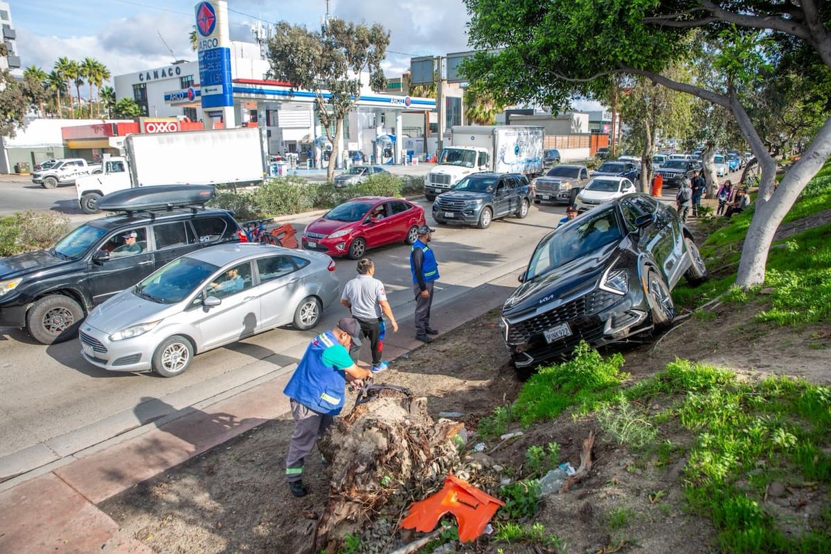 Un automovilista perdió el control de su vehículo mientras circulaba por la Vía Rápida Oriente y terminó sobre el camellón. Foto: Border Zoom