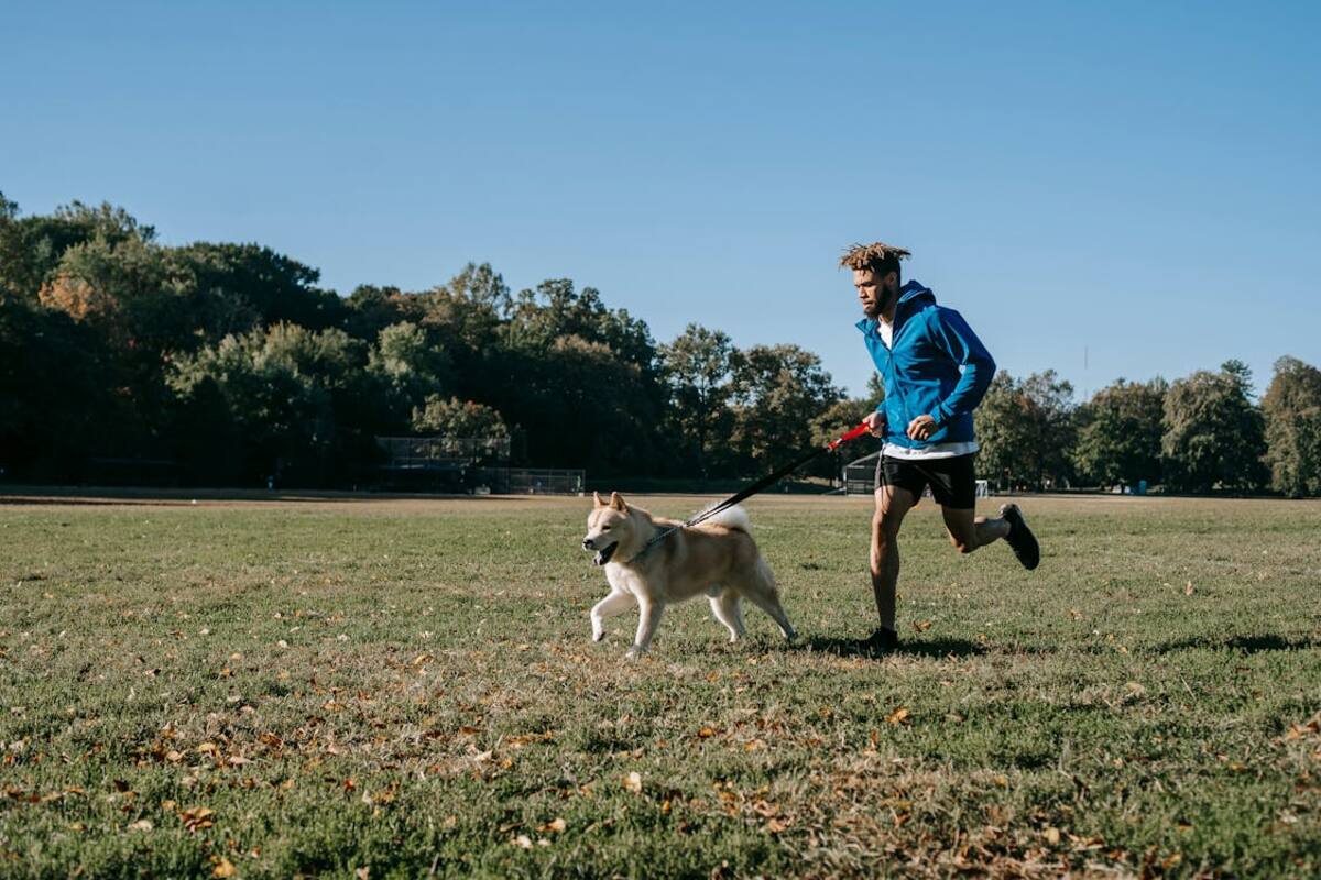 ¿Cuál es la hora ideal para pasear a tu perro?