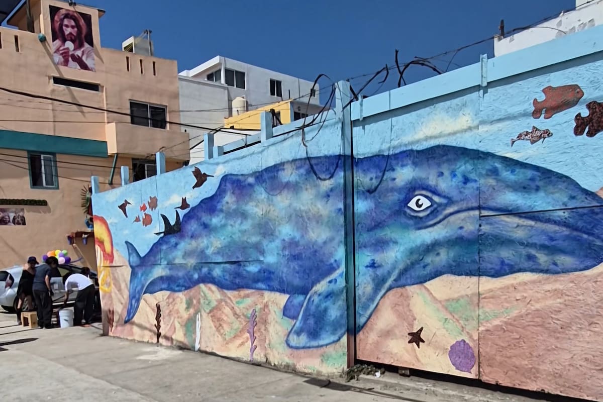 Mientras reparan el malecón, el Pasillo 12 es lo más bonito de playas de Tijuana