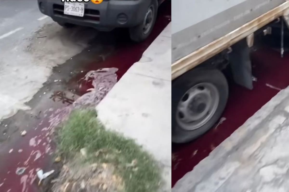 Pánico en Monterrey por una funeraria que tiñó las calles de rojo tras una descarga ilegal de sangre