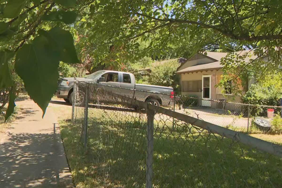 Dallas: Niña de 4 años es declarada muerta luego de ser atacada por 3 perros