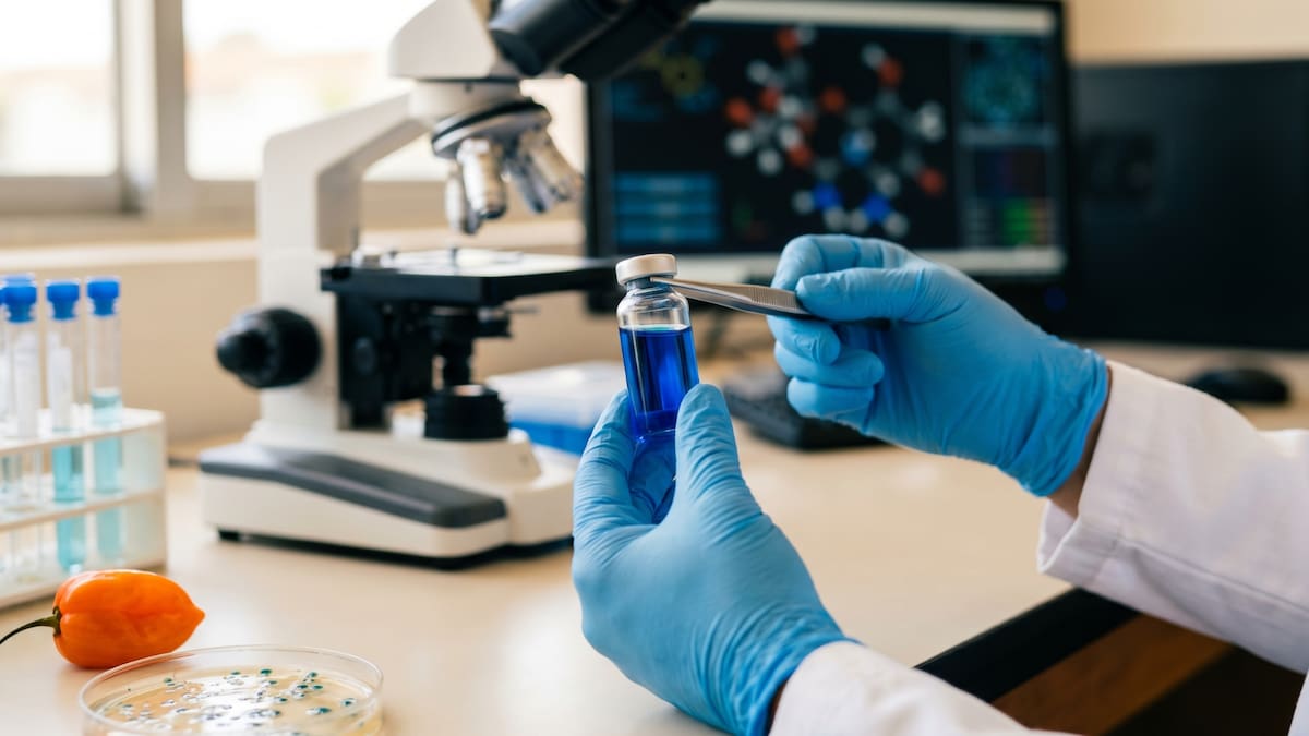 La benzoquinona azul derivada del veneno de alacrán demostró eficacia contra Mycobacterium tuberculosis en pruebas con modelos animales validadas con la colaboración de un experto de Stanford. /Ilustrativa hecha con IA