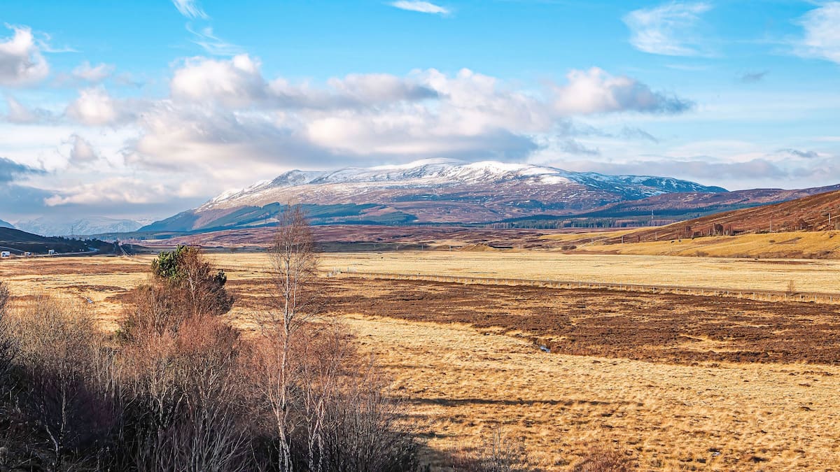 El valle de Carrifran comenzó su recuperación tras retirar el ganado y reducir el pastoreo. Foto: Pexels (Ilustrativa)