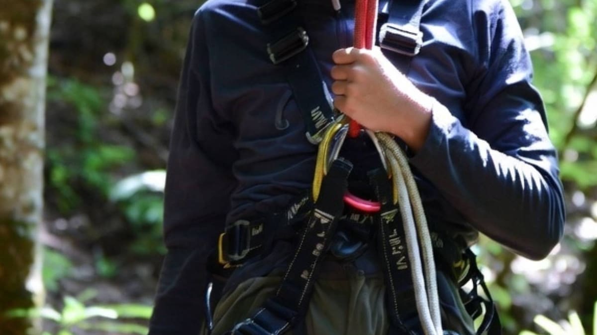 Más de 100 picaduras de avispas recibieron padre e hijo en EEUU cuando practicaban tirolesa y mueren por shock anafiláctico