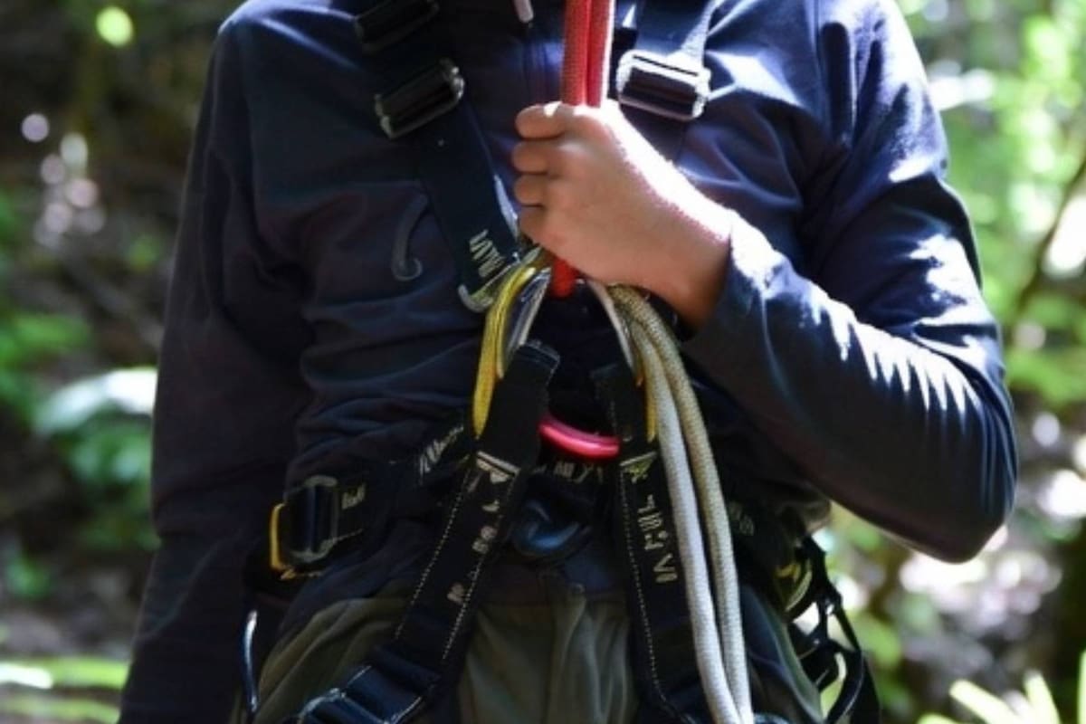 Más de 100 picaduras de avispas recibieron padre e hijo en EEUU cuando practicaban tirolesa y mueren por shock anafiláctico