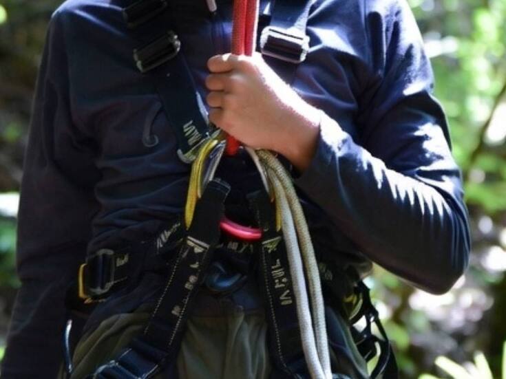 Más de 100 picaduras de avispas recibieron padre e hijo en EEUU cuando practicaban tirolesa y mueren por shock anafiláctico