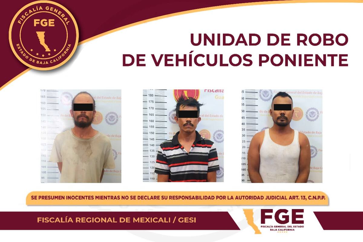 Localiza FGE 4 vehículos con reporte de robo durante un cateo