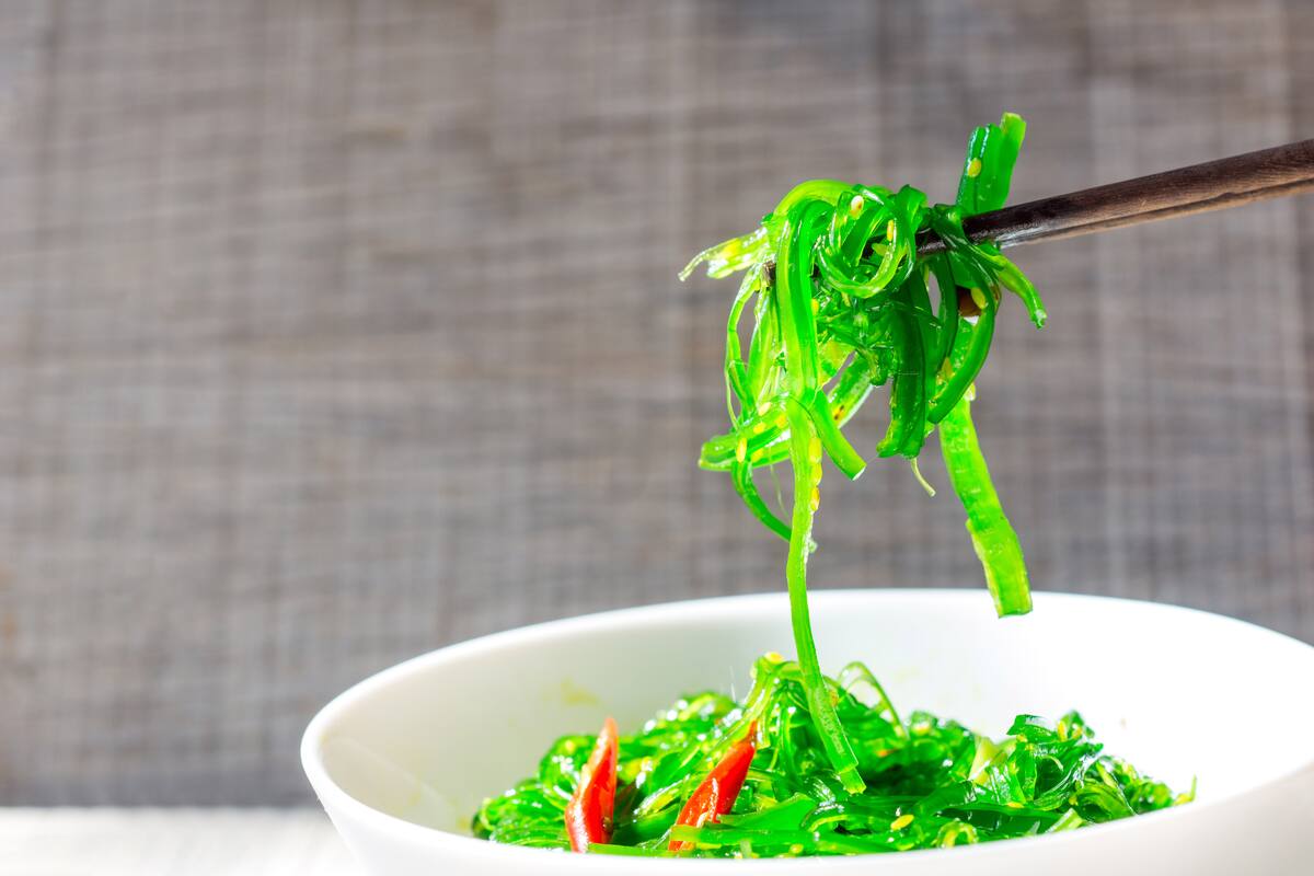 Japanese Wakame Seaweed Salad with Chopsticks, close up. Healthy vegetarian seafood