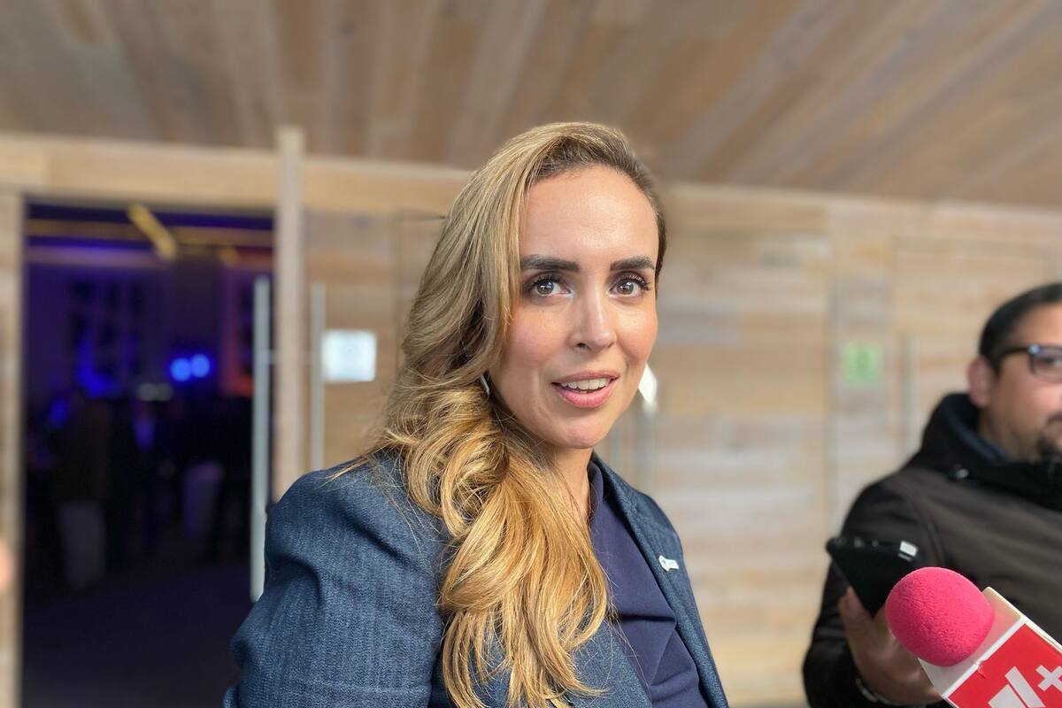 Ven necesario diversificar los mercados