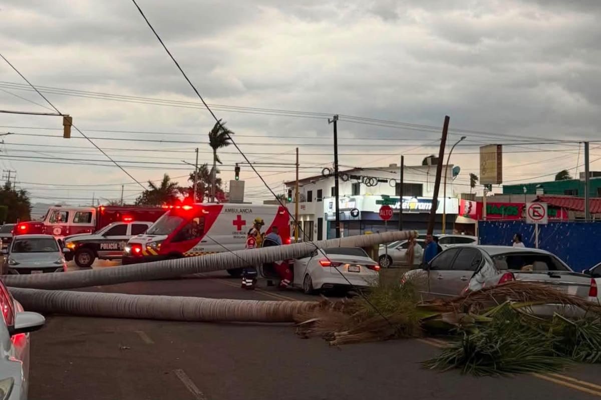 Caen palmas sobre vehículos en Ciudad Obregón tras fuertes vientos