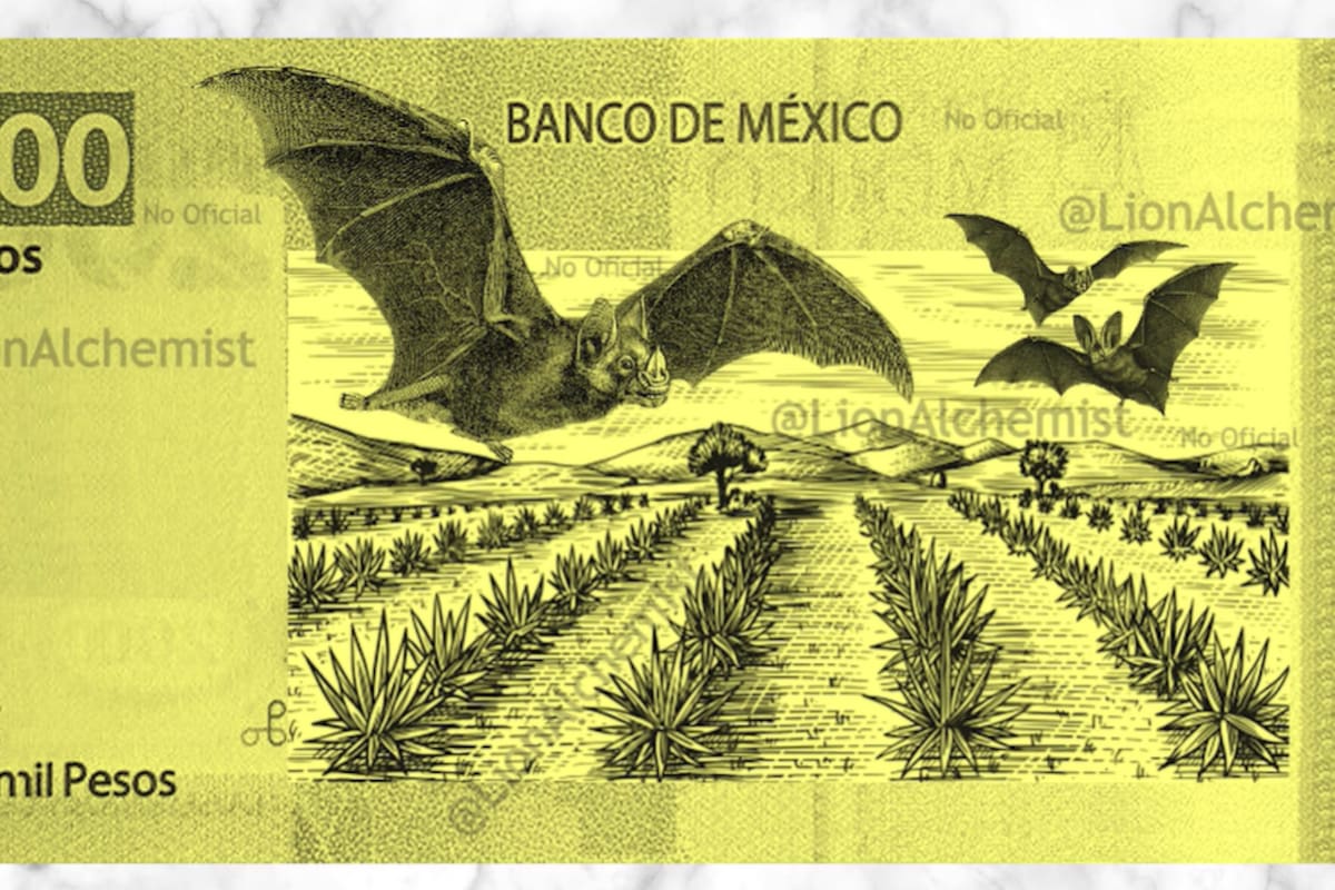 "El billete del murciélago: ¿Se acerca el billete de 2 mil pesos en México este 2022?