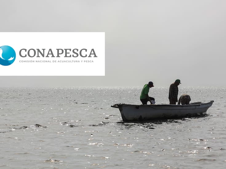 Conapesca ha decomisado 5 mil 341 toneladas de producto pesquero ilegal en 2025, el doble que el año pasado, y mantiene acciones de inspección y prevención para proteger los recursos acuáticos del país