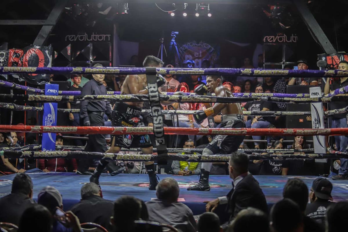 Pide CMB poner orden a funciones de box en Tijuana