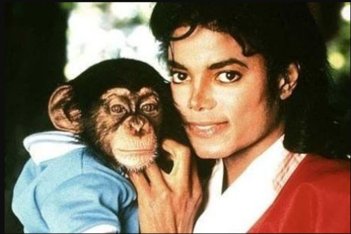 ¿Dónde está Bubbles, el chimpancé que adoptó Michael Jackson?