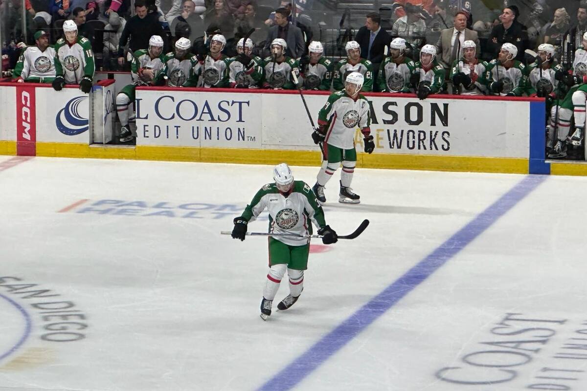 San Diego Gulls celebra noche de herencia mexicana