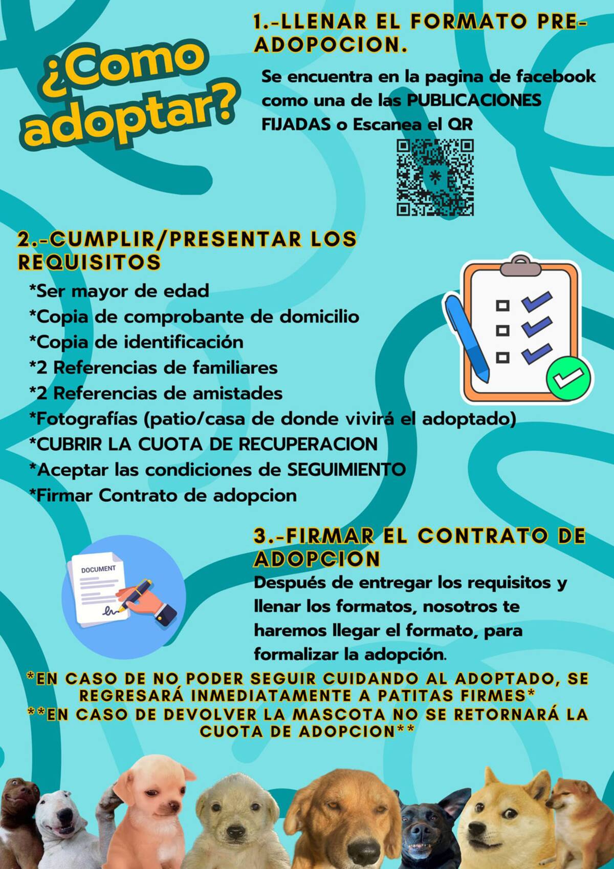 "Patitas firmes" rescata a animales maltratados.