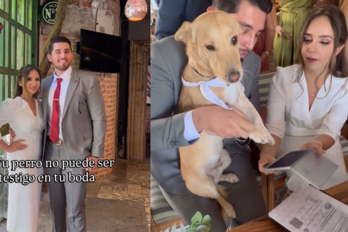 Pareja lleva a su perrito como testigo el día de su boda civil y lo deja firmar
