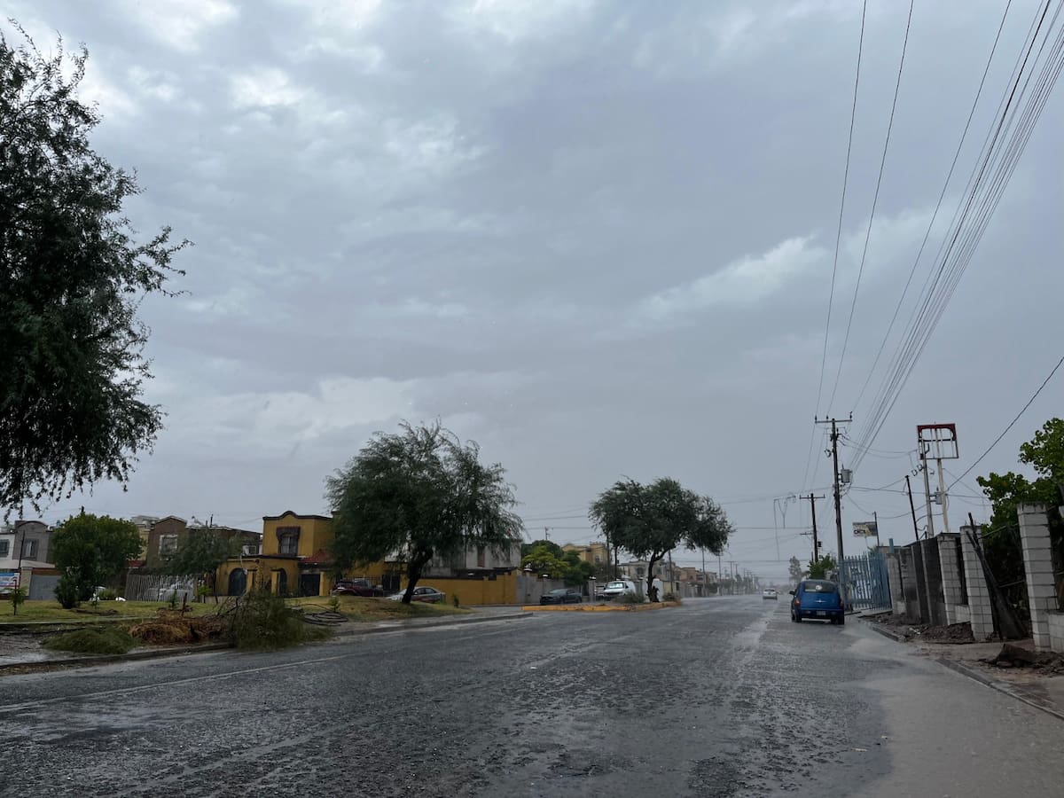 Foto: cortesía