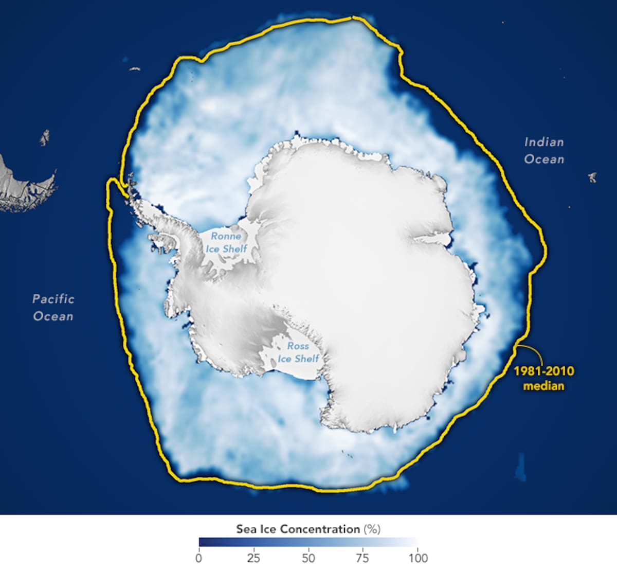 El contorno de color amarillo muestra los límites del hielo antártico en un periodo que comprende desde los años 80 hasta 2010. Foto: NASA Earth Observatory, Michala Garrison.