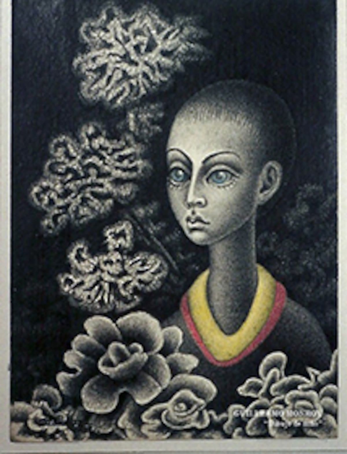 "Niño".