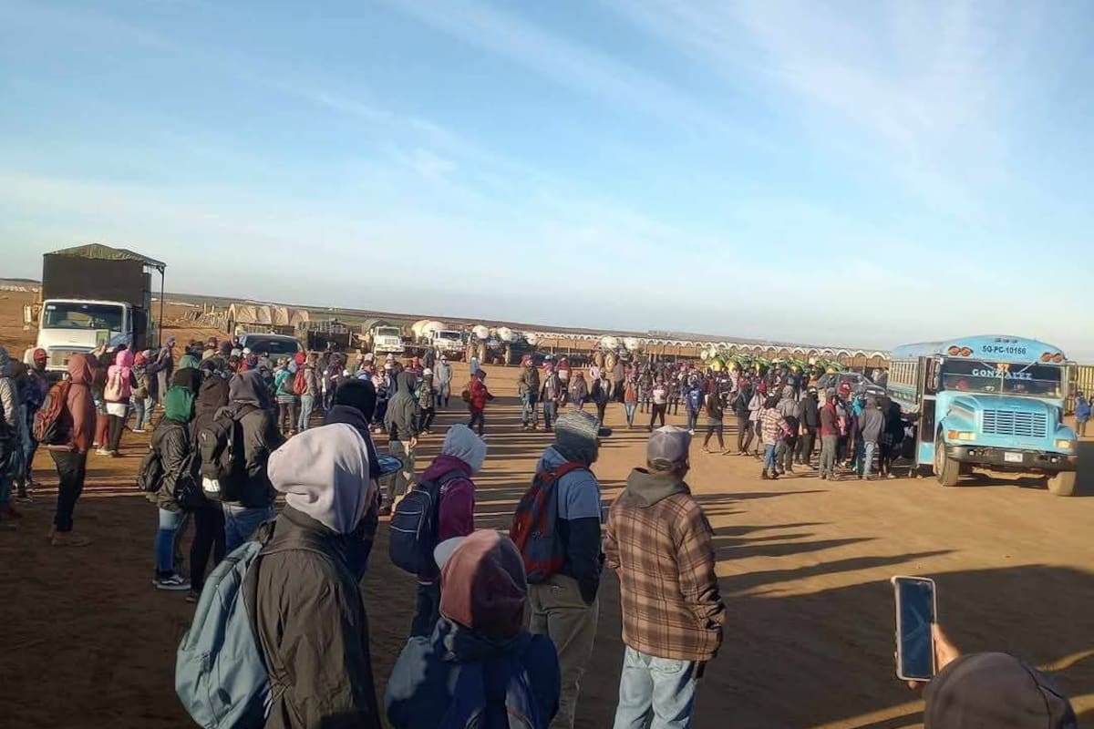 Podrían seguir manifestaciones en ranchos agrícolas de SQ