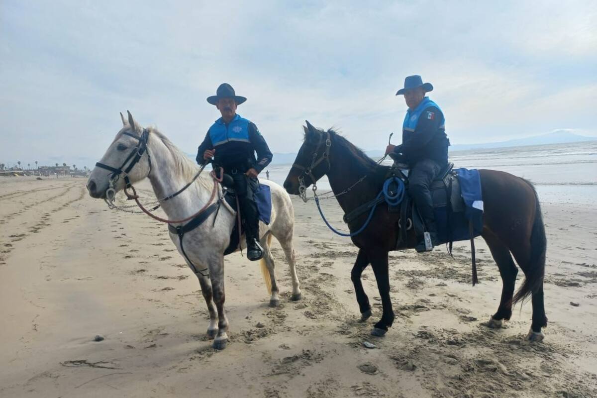 Policías a caballo apoyarán a turistas de Ensenada