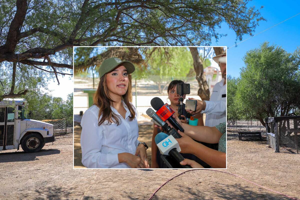 ¡Descubre La Jungla! Centro Ecológico inaugura nuevo espacio interactivo