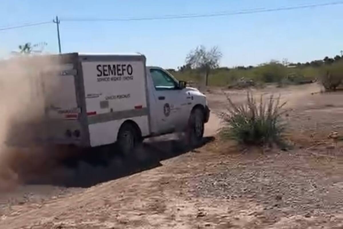 Encuentran refrigerador con restos humanos en baldío de Ciudad Obregón