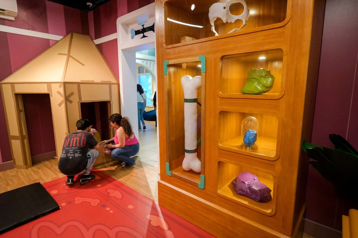 Por fuera la Camp Store parece un local comercial con juguetes y artículos para niños de los personajes de moda.