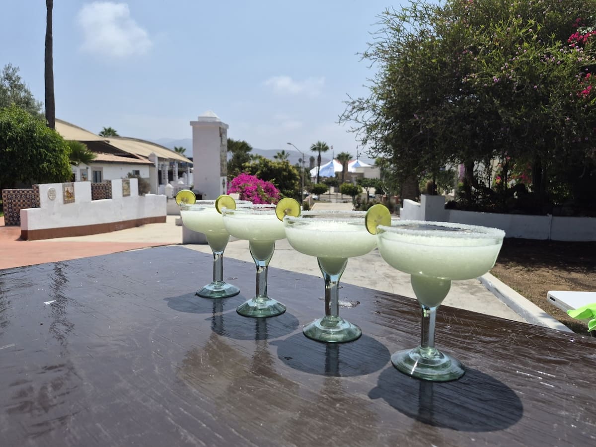 El Festival de la Margarita se realizará el 29 de agosto en el Riviera con entrada libre, gastronomía, música y actividades culturales.
Fotos: Cortesía.