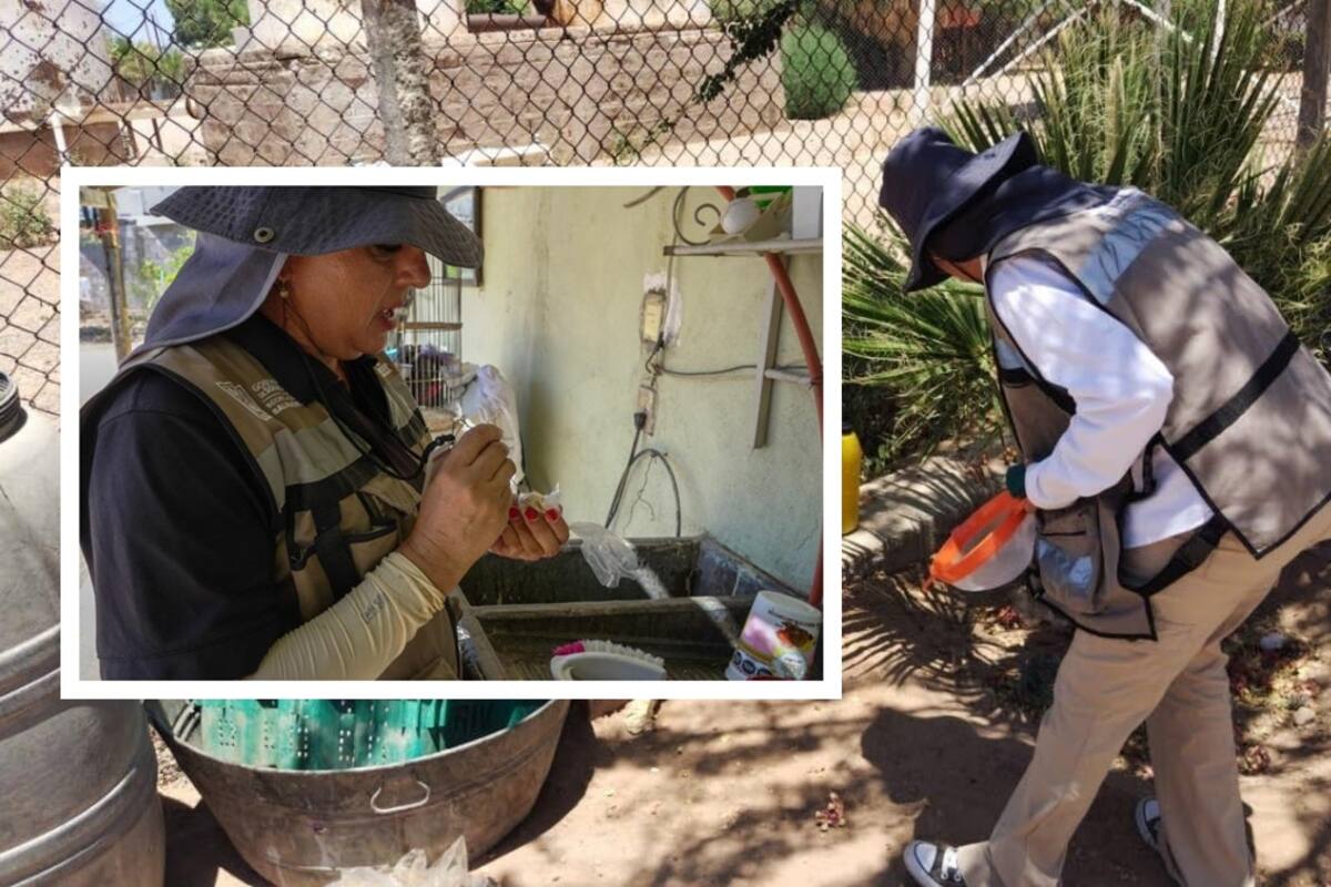 Dengue en Sonora: Nogales ocupa primer lugar en casos confirmados
