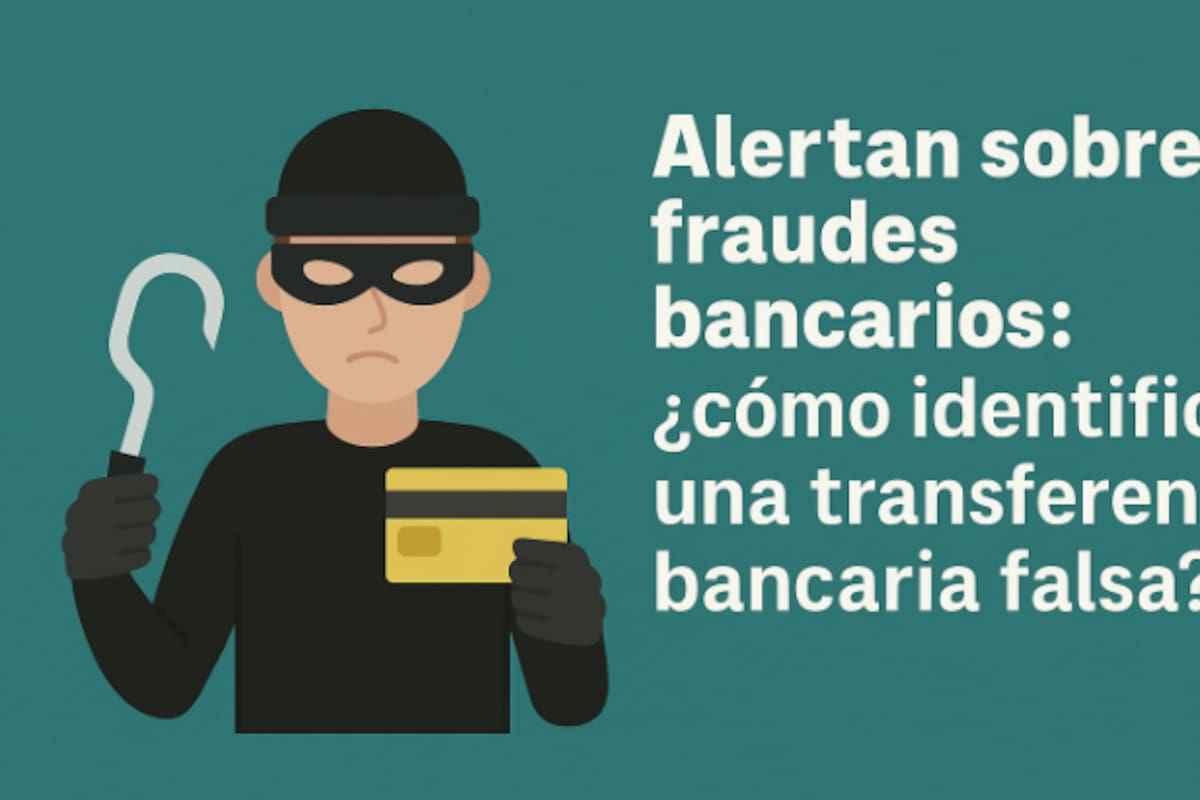 Alertan sobre fraudes bancarios: ¿cómo identificar una transferencia bancaria falsa?