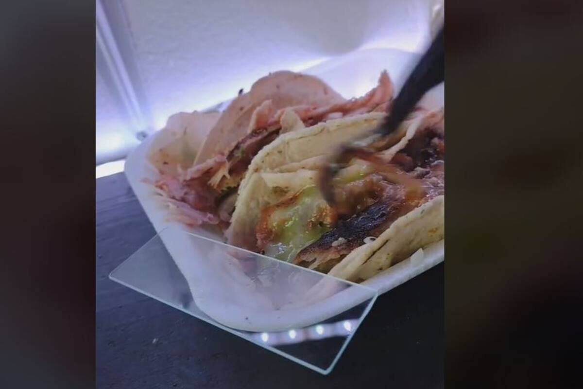 TikTok: Somete un taco a prueba de microscopio y halla cosas muy desagradables