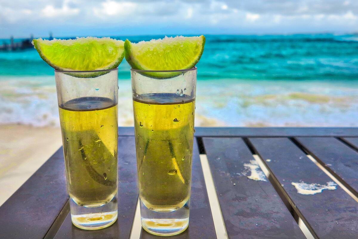 Los mejores tragos para celebrar el Día Internacional del Tequila