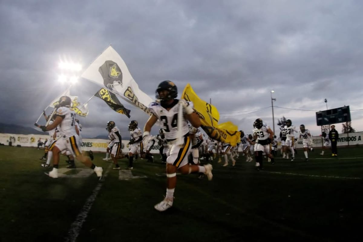 Zorros conoce su destino en los 14 Grandes de ONEFA