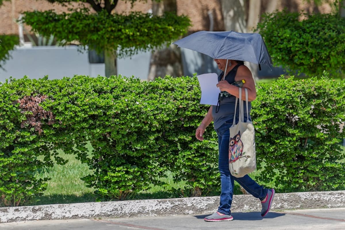 Hasta 41 grados centígrados este miércoles