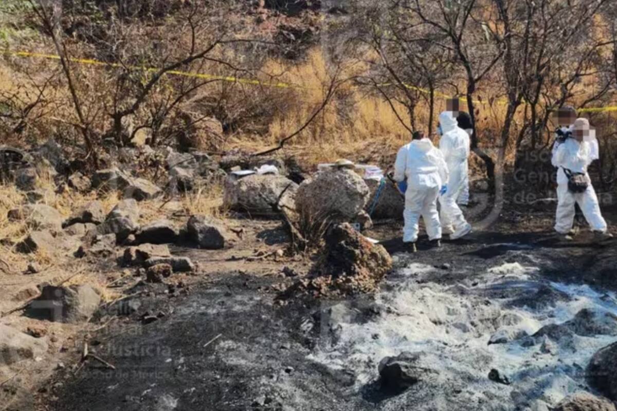 Desmienten crematorio clandestino en CDMX, restos son de animales