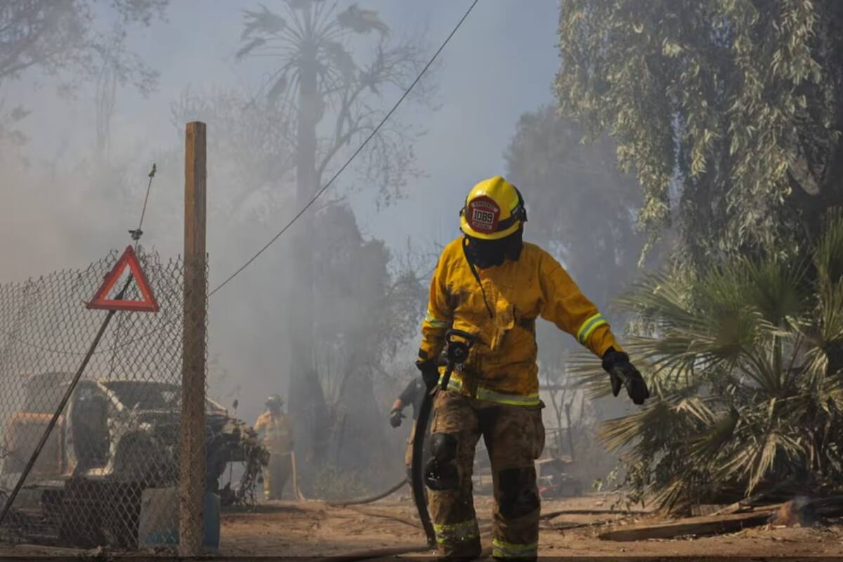Registran caída de árboles e incendios por vientos este fin de semana