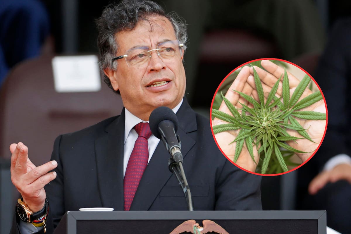 Inician investigación contra Gustavo Petro por supuesta adicción a las drogas