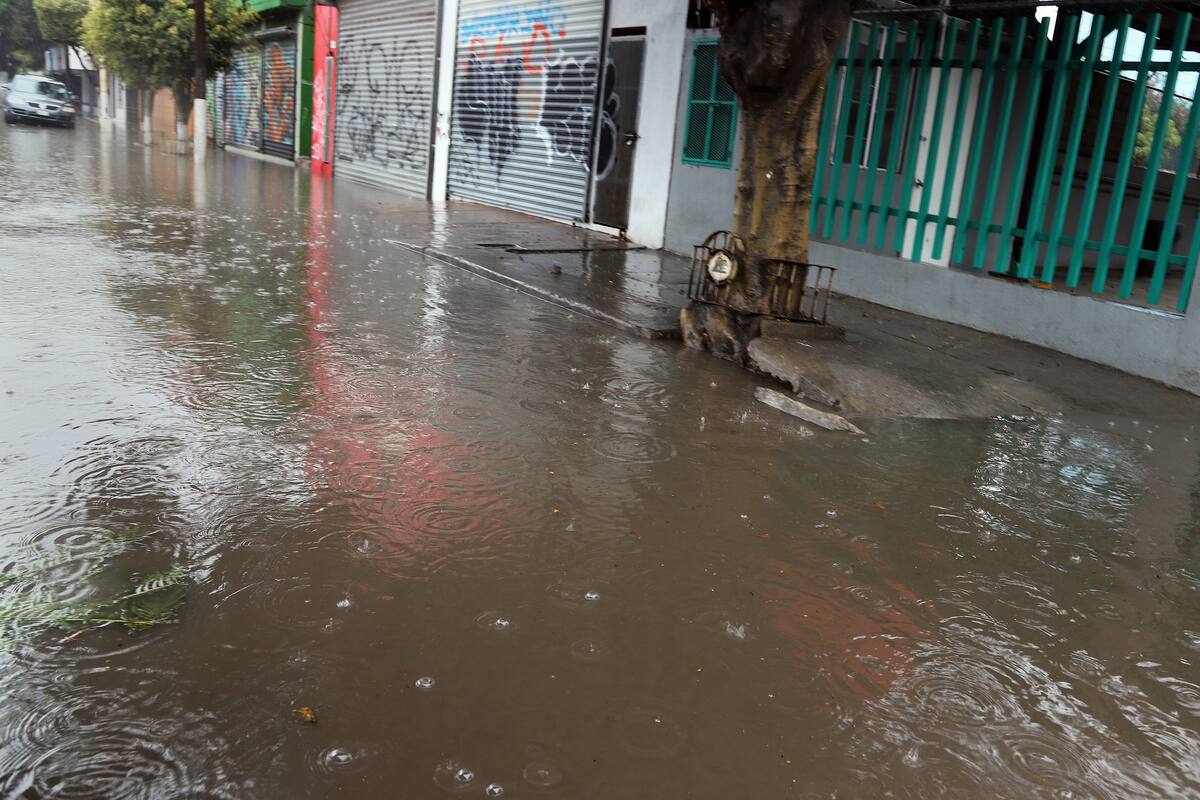 Persona muere por cruzar arroyo