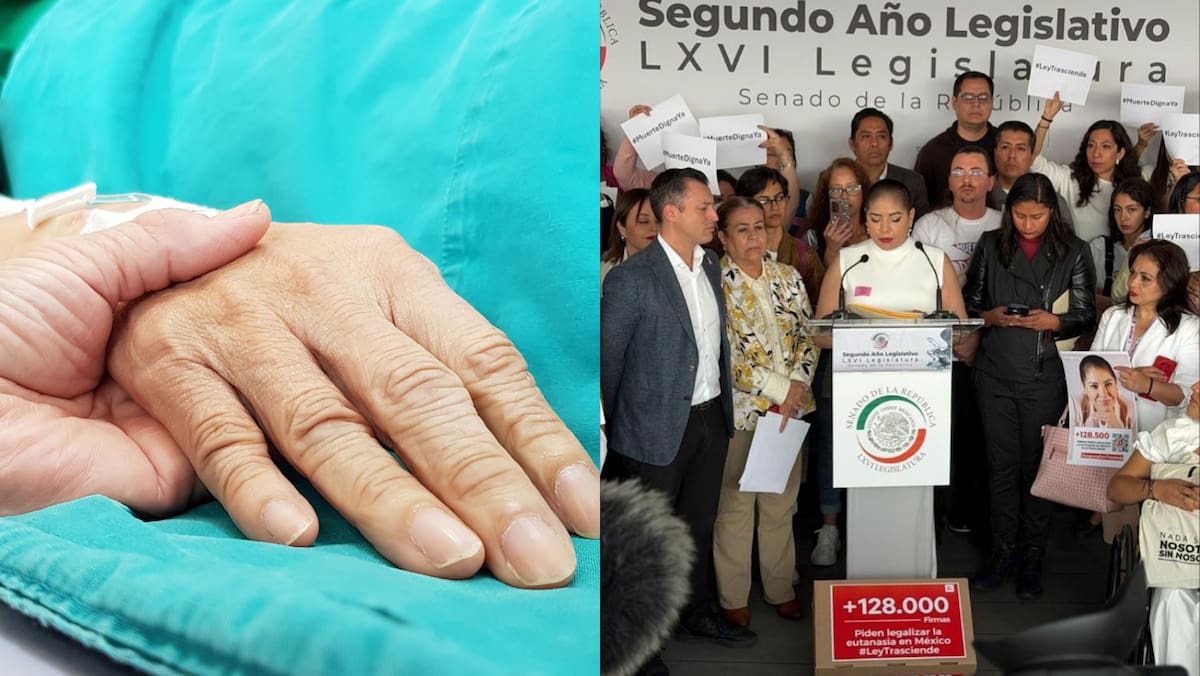 Samara Martínez impulsa en el Congreso la despenalización de la eutanasia con la iniciativa “Ley Trasciende”. Foto: IG: samaraamm