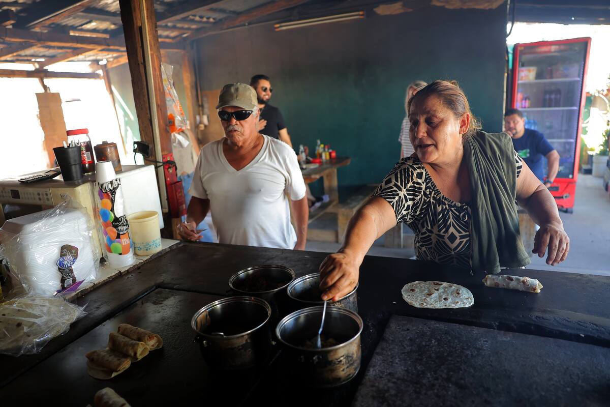 El puesto de “Doña Humo”, ubicado en Rebeico 306, entre Reforma y
Guadalupe Victoria, colonia Heberto Castillo, se ha vuelto viral gracias a
personas que llegan a consumirle y graban videos para las redes sociales.