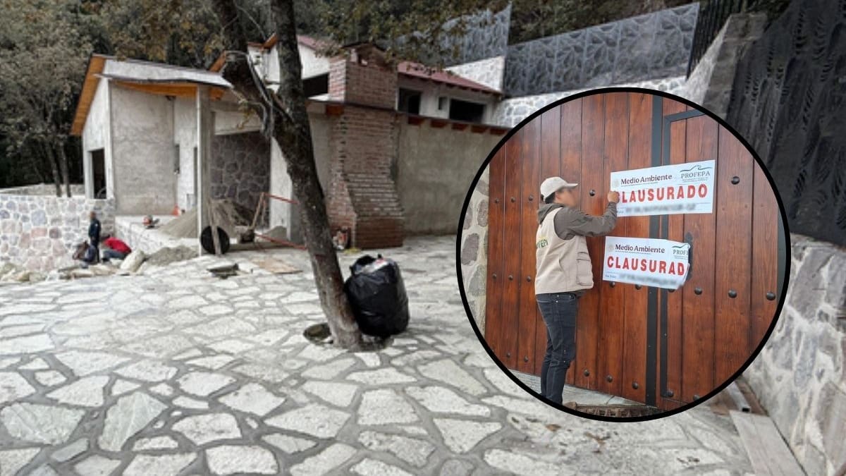 ¿Qué construcciones ilegales encontró la Profepa dentro del Parque Nacional El Chico en Hidalgo? Salón de eventos, cabaña y estacionamientos clausurados por afectar más de 2 mil metros cuadrados de bosque de encino