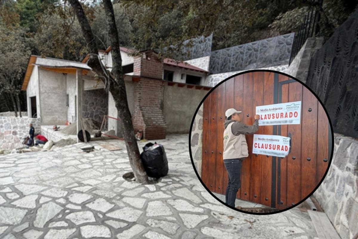 ¿Qué construcciones ilegales encontró la Profepa dentro del Parque Nacional El Chico en Hidalgo? Salón de eventos, cabaña y estacionamientos clausurados por afectar más de 2 mil metros cuadrados de bosque de encino