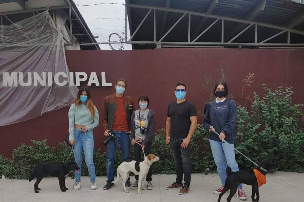Pide evitar compras de animales para regalarlos en Navidad